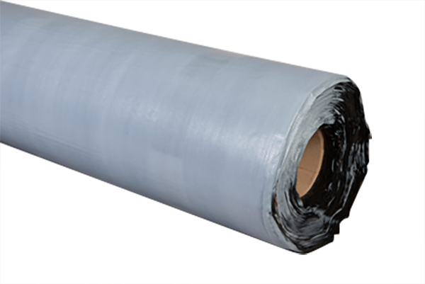 Was tun, wenn bei einer Hausinspektion ein nasser Keller festgestellt wird?